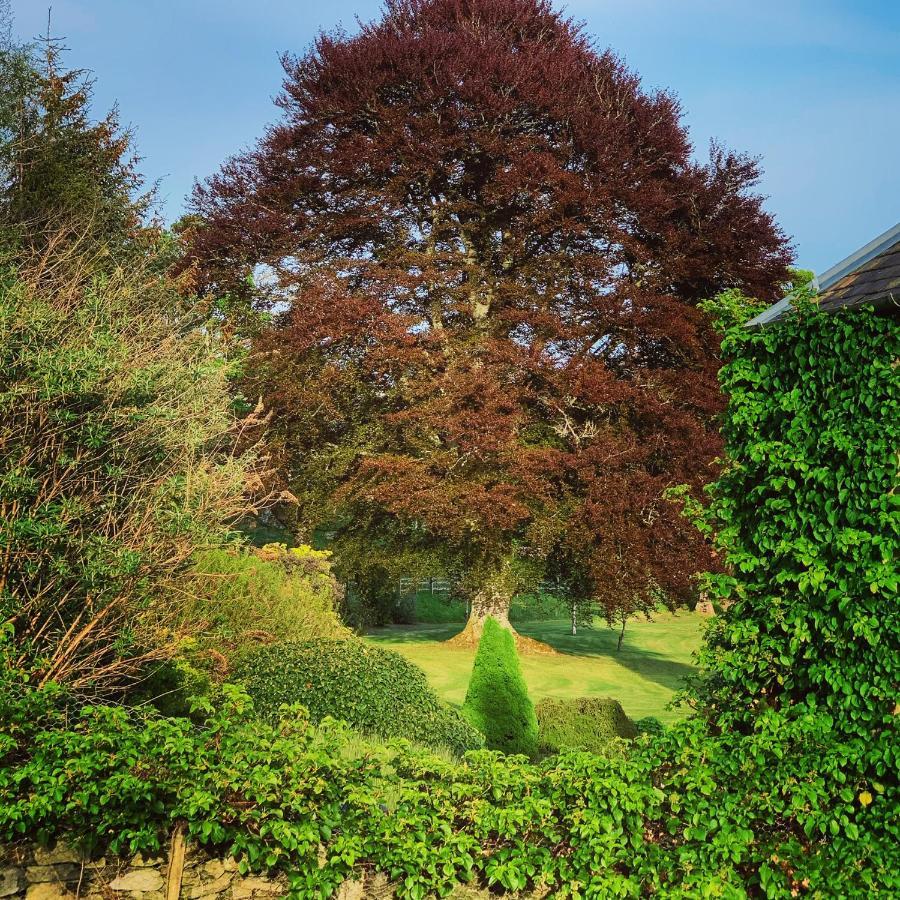 The Old Manse Of Blair, Boutique Hotel & Michelin Restaurant Blair Atholl Exteriör bild